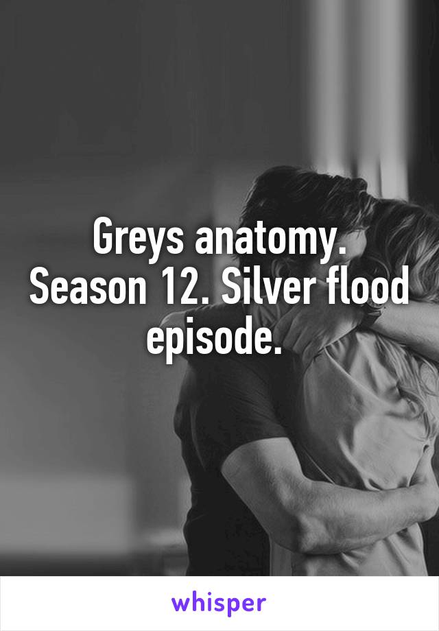 Greys anatomy. Season 12. Silver flood episode. 
