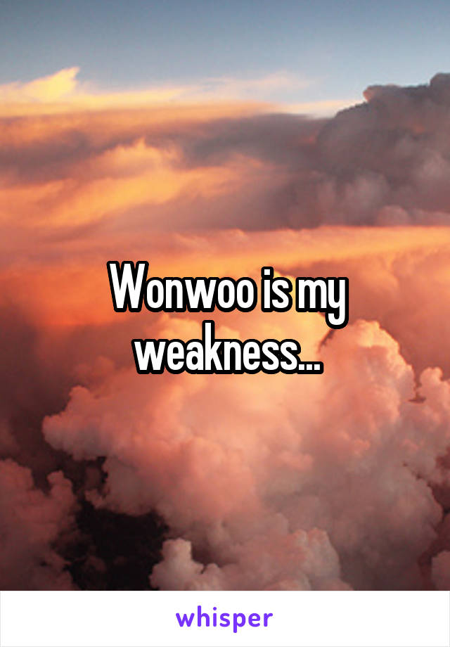 Wonwoo is my weakness...