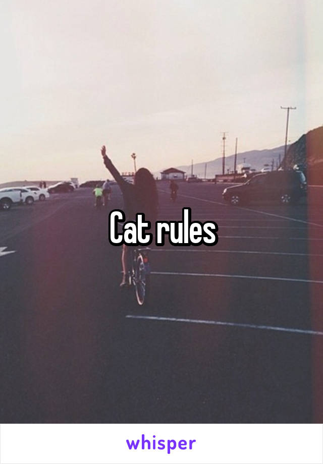 Cat rules