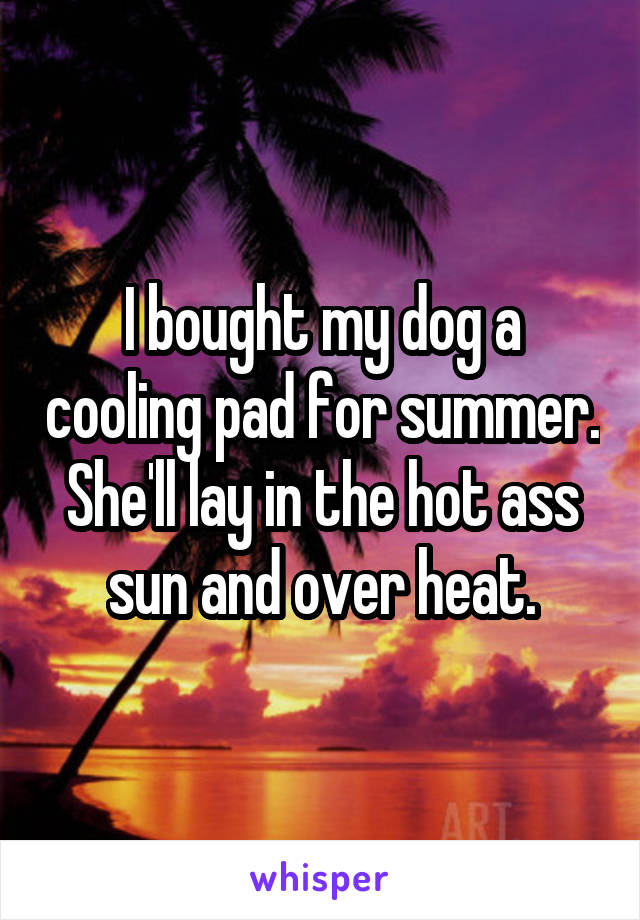 I bought my dog a cooling pad for summer. She'll lay in the hot ass sun and over heat.