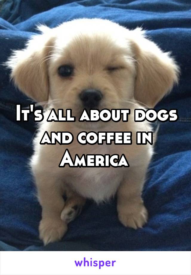 It's all about dogs and coffee in America 