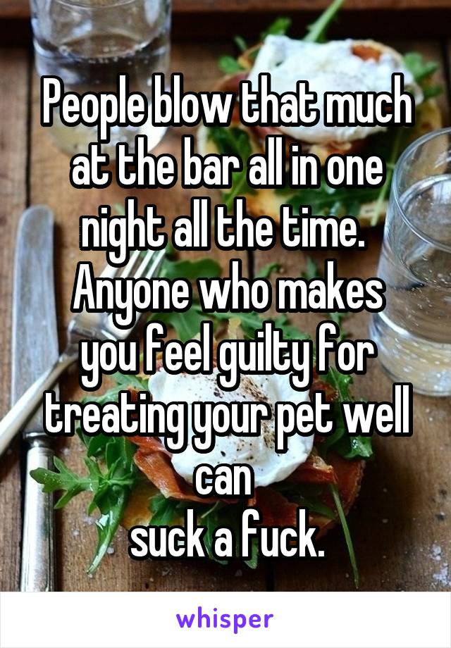 People blow that much at the bar all in one night all the time. 
Anyone who makes you feel guilty for treating your pet well can 
suck a fuck.