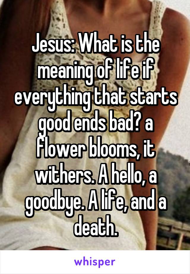 Jesus: What is the meaning of life if everything that starts good ends bad? a flower blooms, it withers. A hello, a goodbye. A life, and a death.