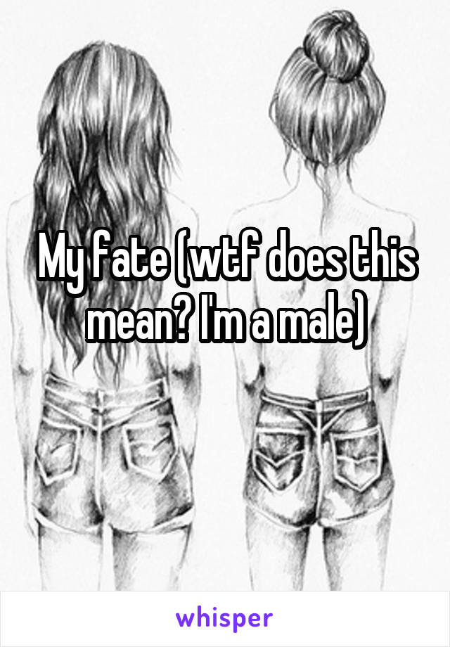 My fate (wtf does this mean? I'm a male)
