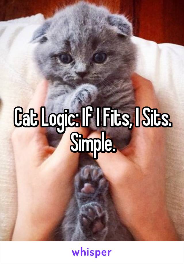 Cat Logic: If I Fits, I Sits. Simple.