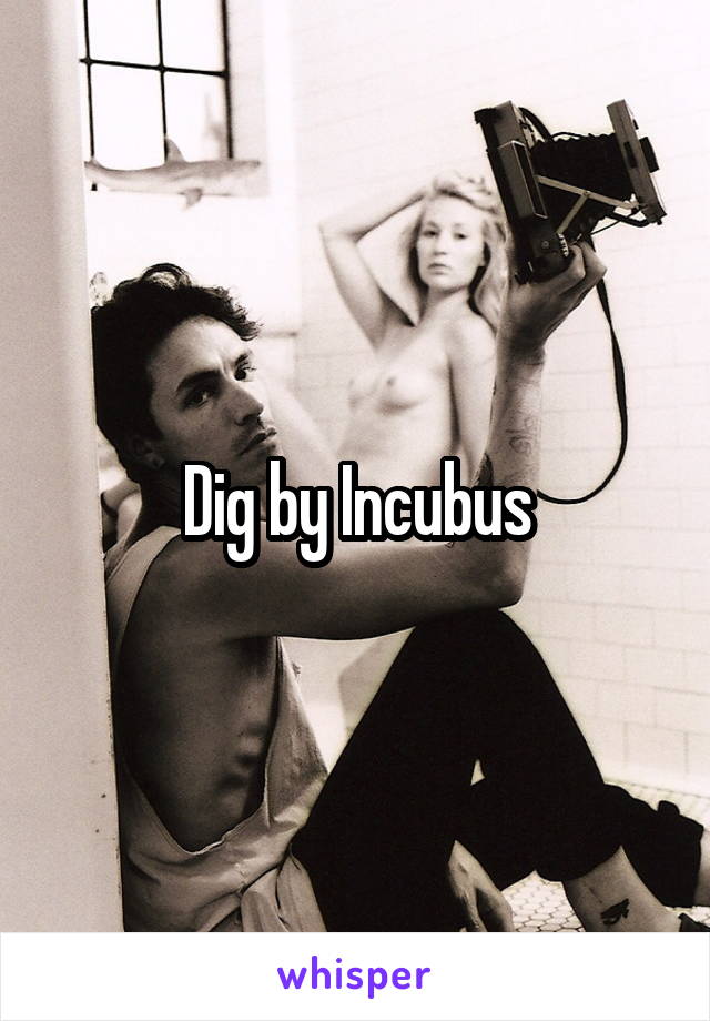 Dig by Incubus