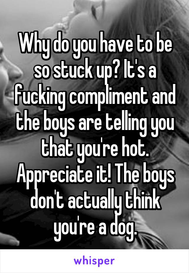 Why do you have to be so stuck up? It's a fucking compliment and the boys are telling you that you're hot. Appreciate it! The boys don't actually think you're a dog.