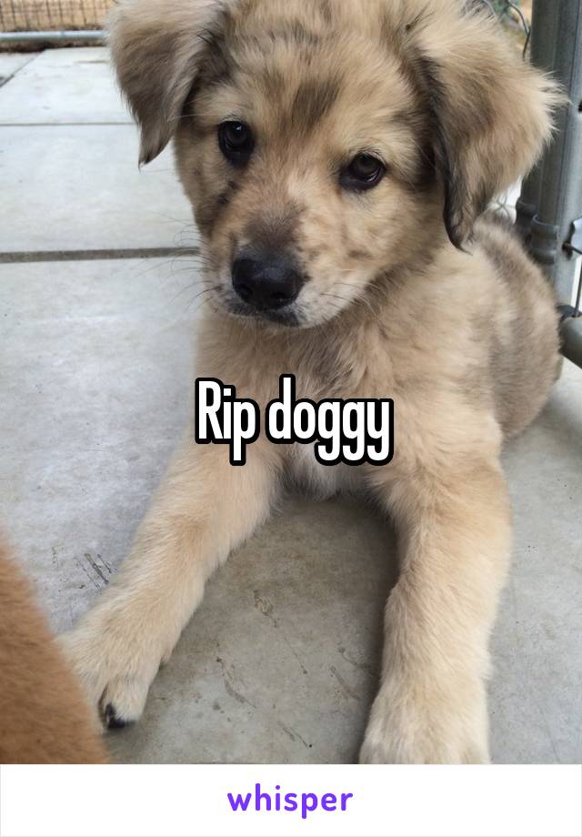 Rip doggy