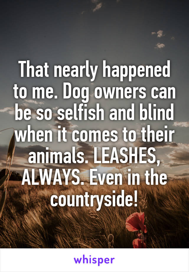 That nearly happened to me. Dog owners can be so selfish and blind when it comes to their animals. LEASHES, ALWAYS. Even in the countryside!