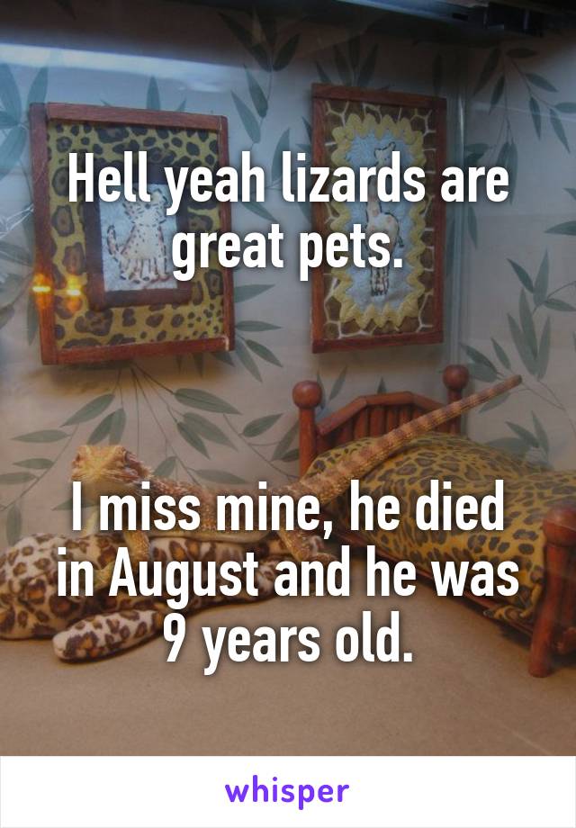 Hell yeah lizards are great pets.



I miss mine, he died in August and he was 9 years old.