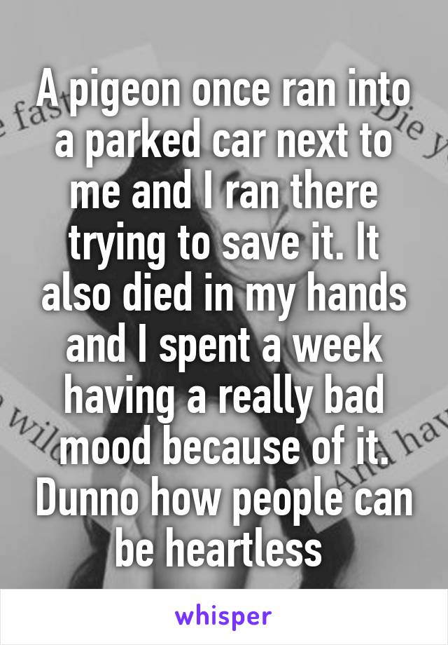 A pigeon once ran into a parked car next to me and I ran there trying to save it. It also died in my hands and I spent a week having a really bad mood because of it. Dunno how people can be heartless 