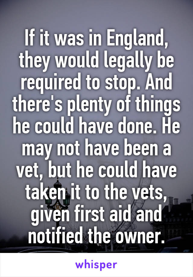 If it was in England, they would legally be required to stop. And there's plenty of things he could have done. He may not have been a vet, but he could have taken it to the vets, given first aid and notified the owner.