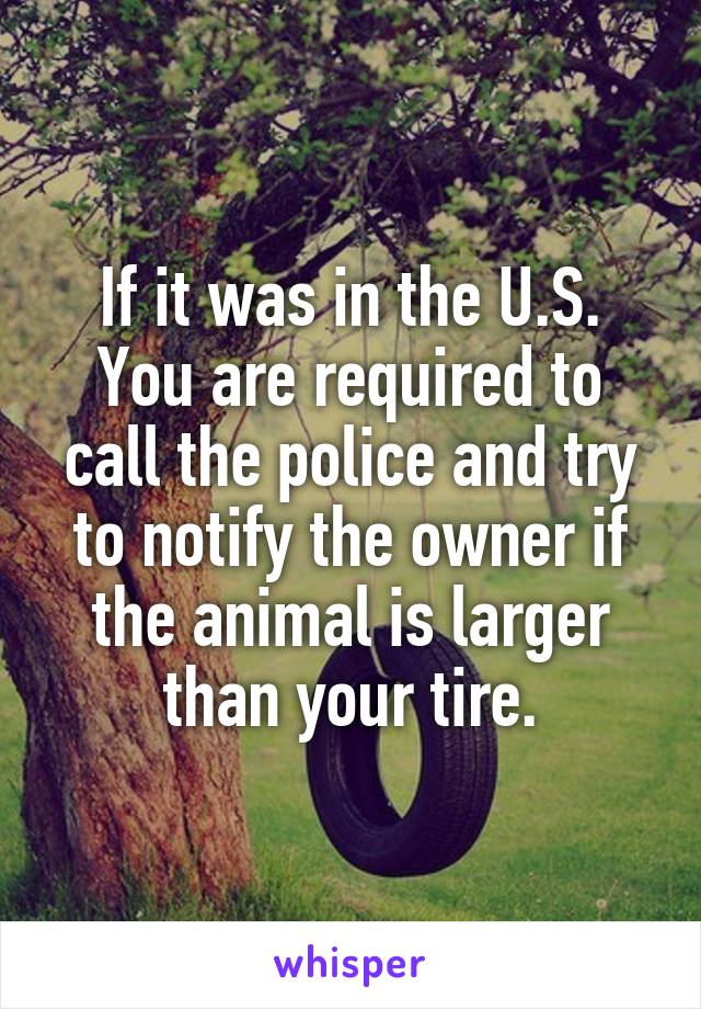 If it was in the U.S. You are required to call the police and try to notify the owner if the animal is larger than your tire.