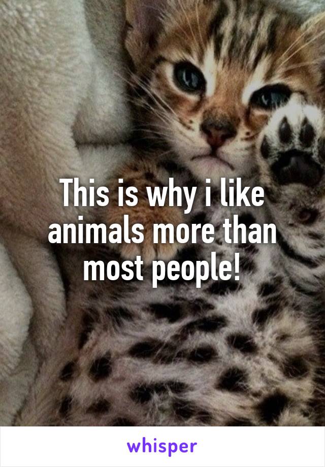 This is why i like animals more than most people!