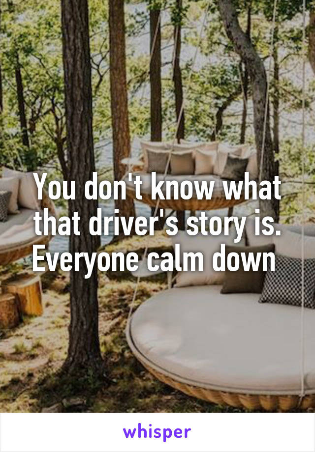 You don't know what that driver's story is. Everyone calm down 