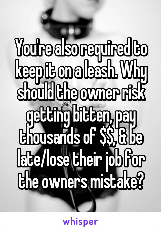 You're also required to keep it on a leash. Why should the owner risk getting bitten, pay thousands of $$, & be late/lose their job for the owners mistake?