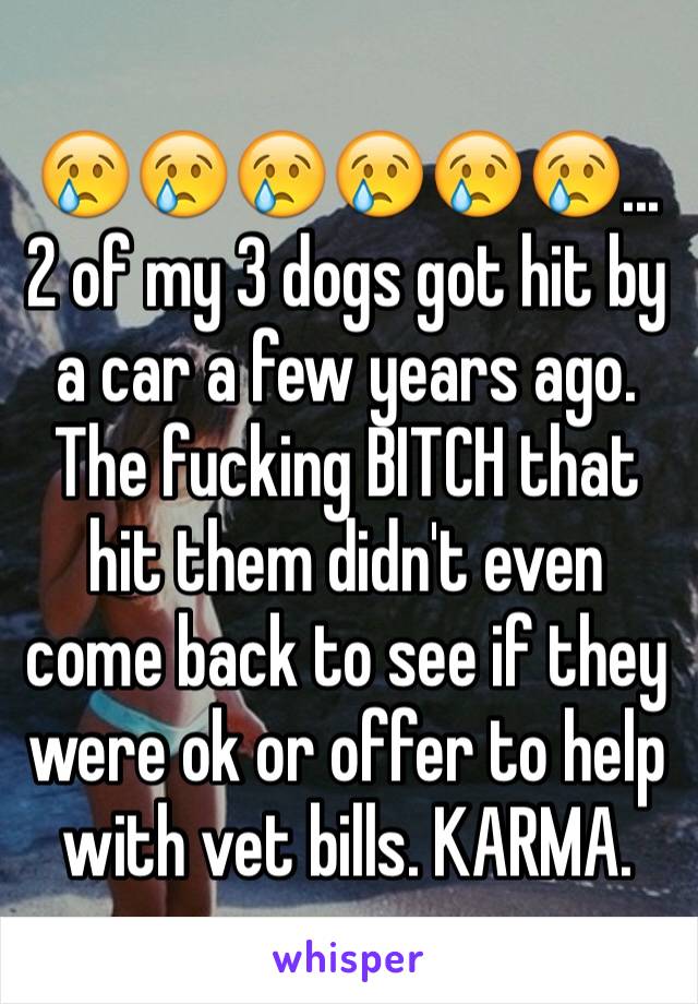 😢😢😢😢😢😢...2 of my 3 dogs got hit by a car a few years ago. The fucking BITCH that hit them didn't even come back to see if they were ok or offer to help with vet bills. KARMA. 