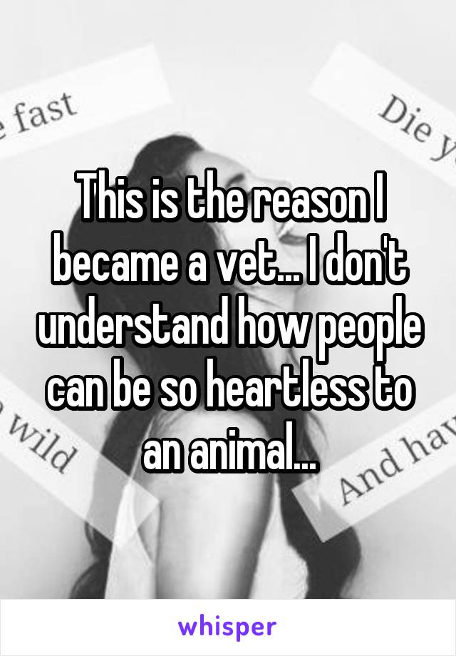 This is the reason I became a vet... I don't understand how people can be so heartless to an animal...