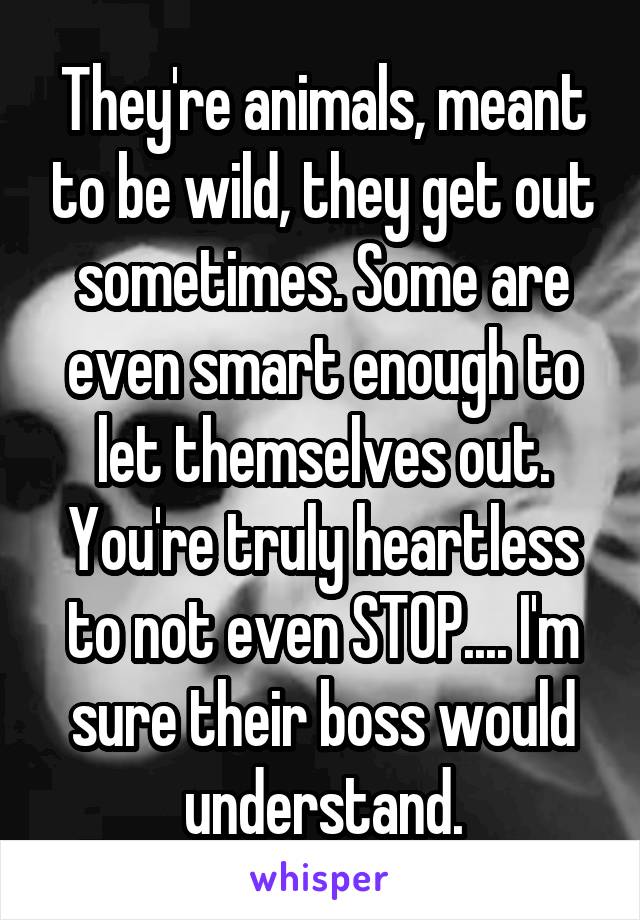 They're animals, meant to be wild, they get out sometimes. Some are even smart enough to let themselves out. You're truly heartless to not even STOP.... I'm sure their boss would understand.