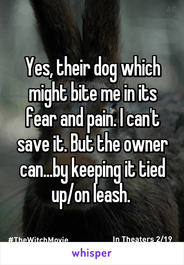 Yes, their dog which might bite me in its fear and pain. I can't save it. But the owner can...by keeping it tied up/on leash. 