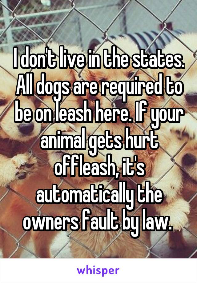 I don't live in the states. All dogs are required to be on leash here. If your animal gets hurt offleash, it's automatically the owners fault by law. 