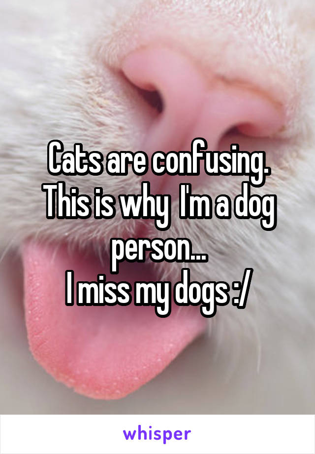 Cats are confusing.
This is why  I'm a dog person...
I miss my dogs :/
