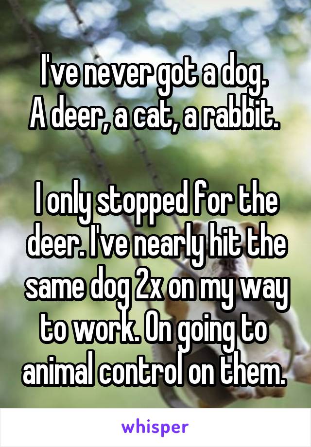 I've never got a dog. 
A deer, a cat, a rabbit. 

I only stopped for the deer. I've nearly hit the same dog 2x on my way to work. On going to  animal control on them. 