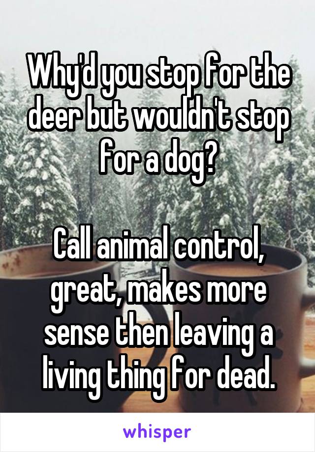 Why'd you stop for the deer but wouldn't stop for a dog?

Call animal control, great, makes more sense then leaving a living thing for dead.