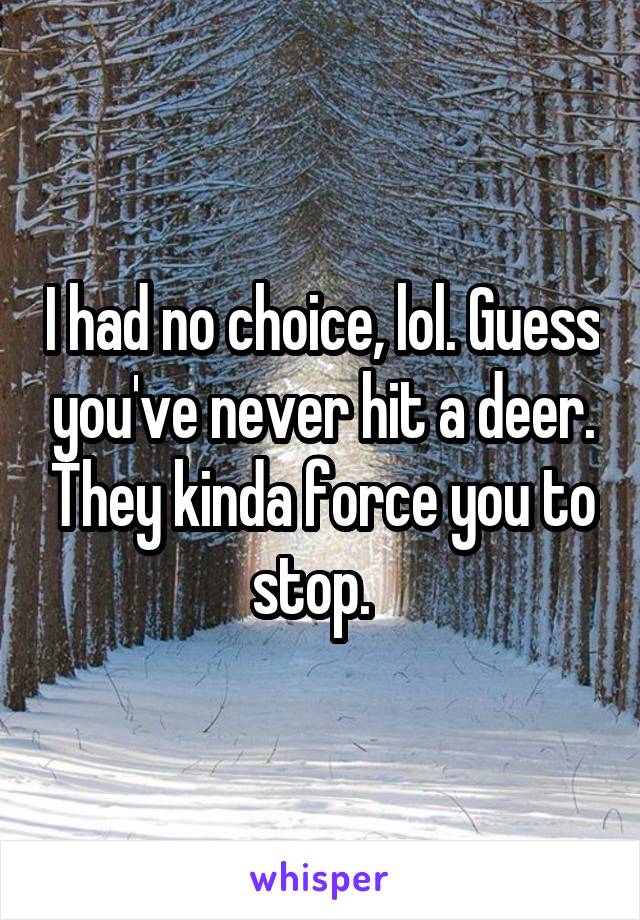 I had no choice, lol. Guess you've never hit a deer. They kinda force you to stop.  