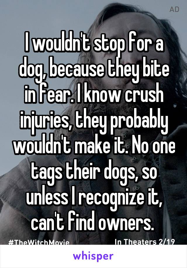 I wouldn't stop for a dog, because they bite in fear. I know crush injuries, they probably wouldn't make it. No one tags their dogs, so unless I recognize it, can't find owners. 