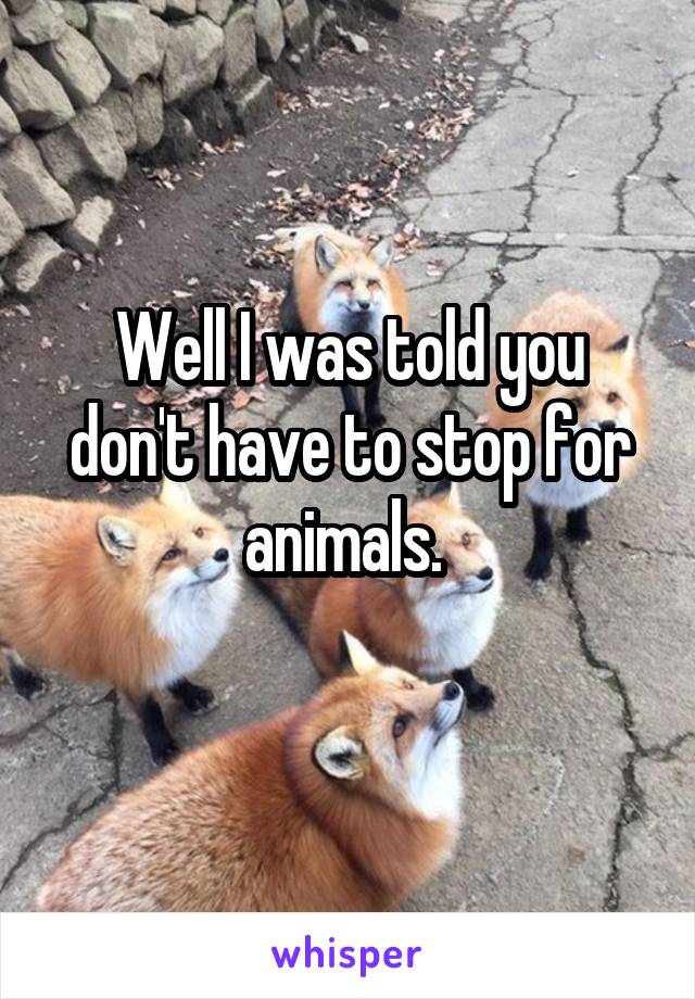 Well I was told you don't have to stop for animals. 
