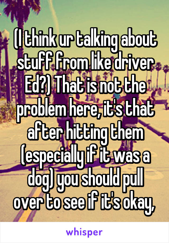 (I think ur talking about stuff from like driver Ed?) That is not the problem here, it's that after hitting them (especially if it was a dog) you should pull over to see if it's okay, 