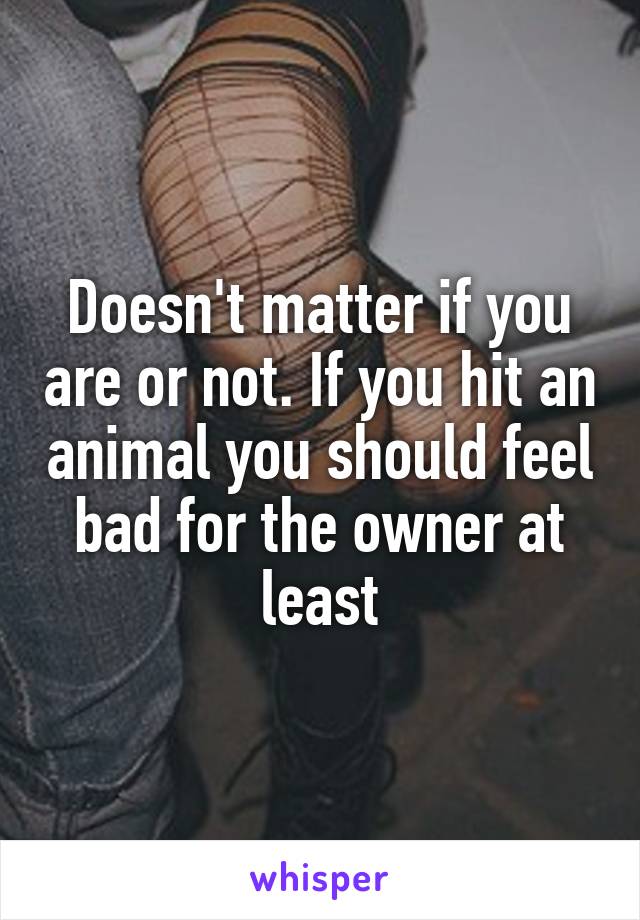 Doesn't matter if you are or not. If you hit an animal you should feel bad for the owner at least