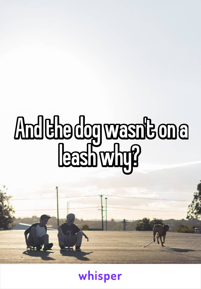 And the dog wasn't on a leash why? 