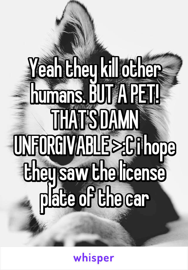 Yeah they kill other humans. BUT A PET! THAT'S DAMN UNFORGIVABLE >:C i hope they saw the license plate of the car