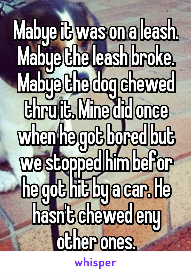 Mabye it was on a leash.
Mabye the leash broke.
Mabye the dog chewed thru it. Mine did once when he got bored but we stopped him befor he got hit by a car. He hasn't chewed eny other ones.