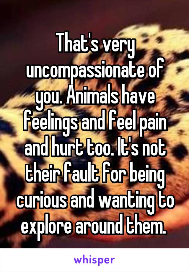 That's very uncompassionate of you. Animals have feelings and feel pain and hurt too. It's not their fault for being curious and wanting to explore around them. 