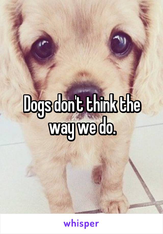 Dogs don't think the way we do.