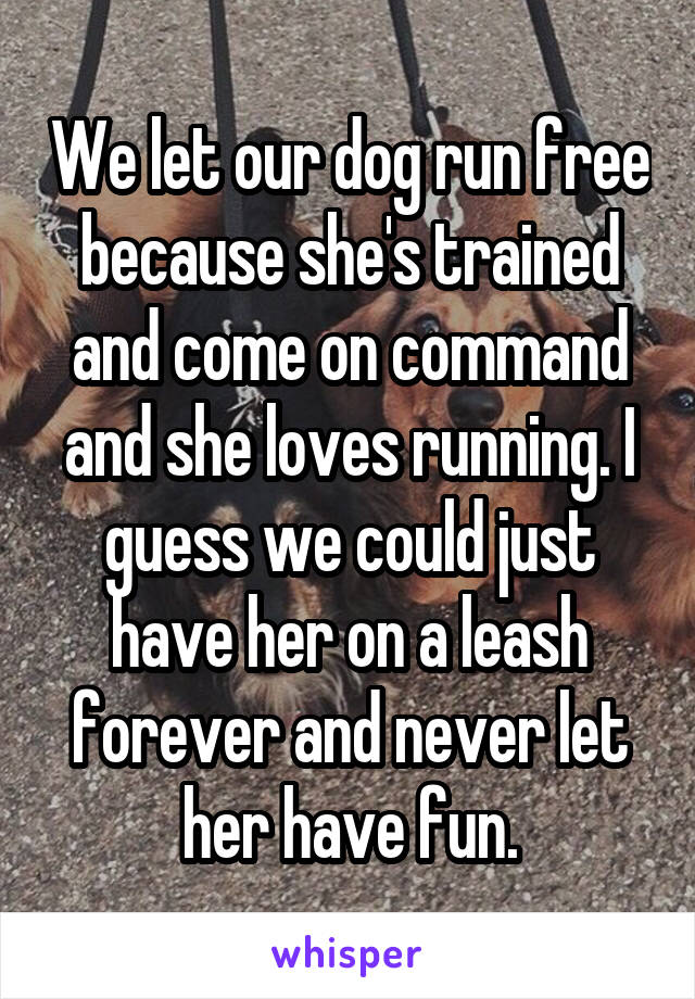 We let our dog run free because she's trained and come on command and she loves running. I guess we could just have her on a leash forever and never let her have fun.