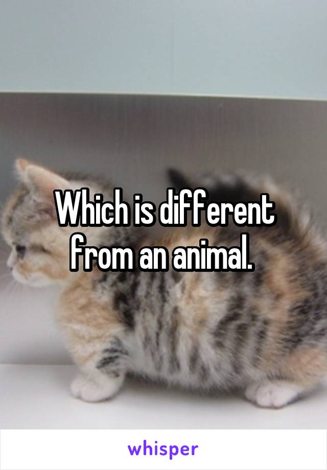 Which is different from an animal. 