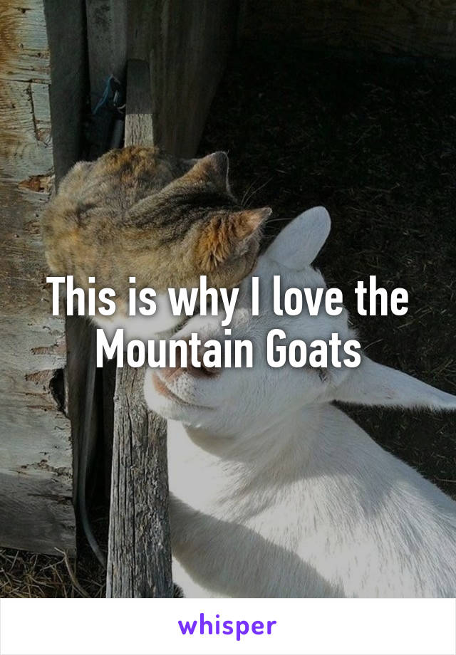 This is why I love the Mountain Goats