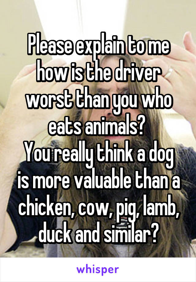 Please explain to me how is the driver worst than you who eats animals? 
You really think a dog is more valuable than a chicken, cow, pig, lamb, duck and similar?