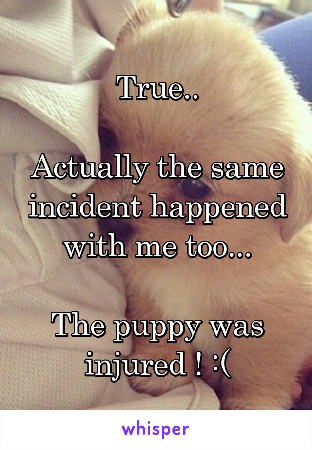 True..

Actually the same incident happened with me too...

The puppy was injured ! :(