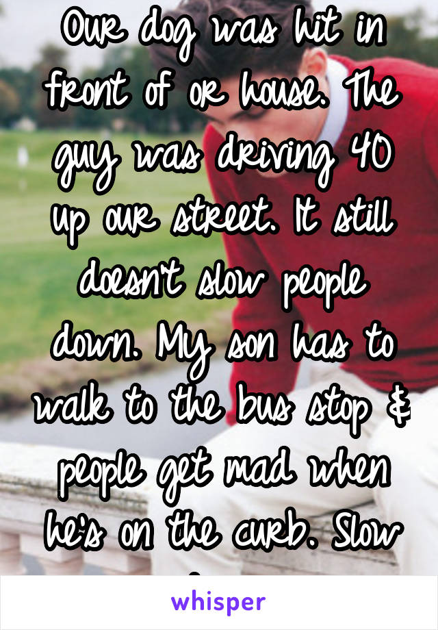 Our dog was hit in front of or house. The guy was driving 40 up our street. It still doesn't slow people down. My son has to walk to the bus stop & people get mad when he's on the curb. Slow down.
