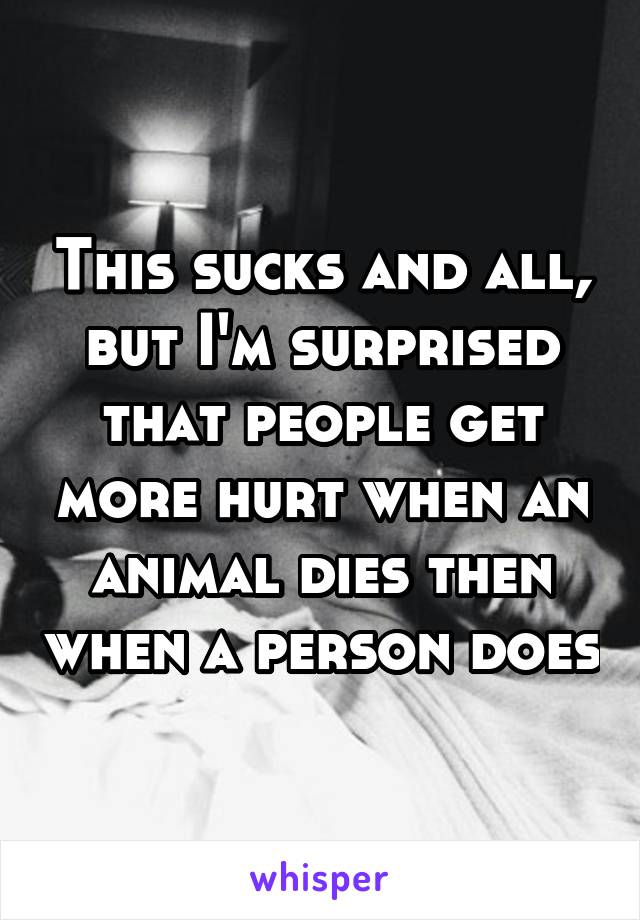 This sucks and all, but I'm surprised that people get more hurt when an animal dies then when a person does