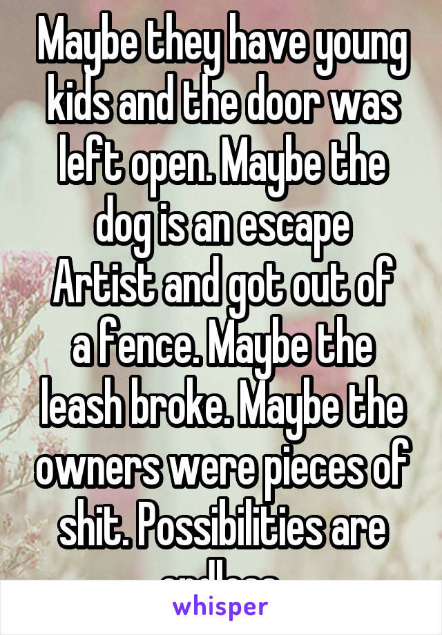 Maybe they have young kids and the door was left open. Maybe the dog is an escape
Artist and got out of a fence. Maybe the leash broke. Maybe the owners were pieces of shit. Possibilities are endless.