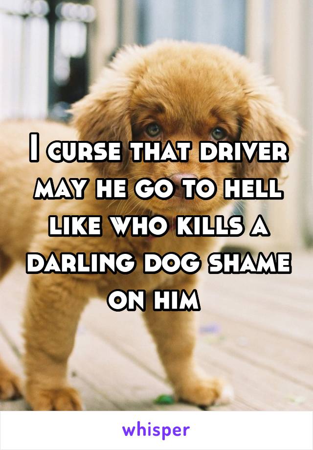 I curse that driver may he go to hell like who kills a darling dog shame on him 