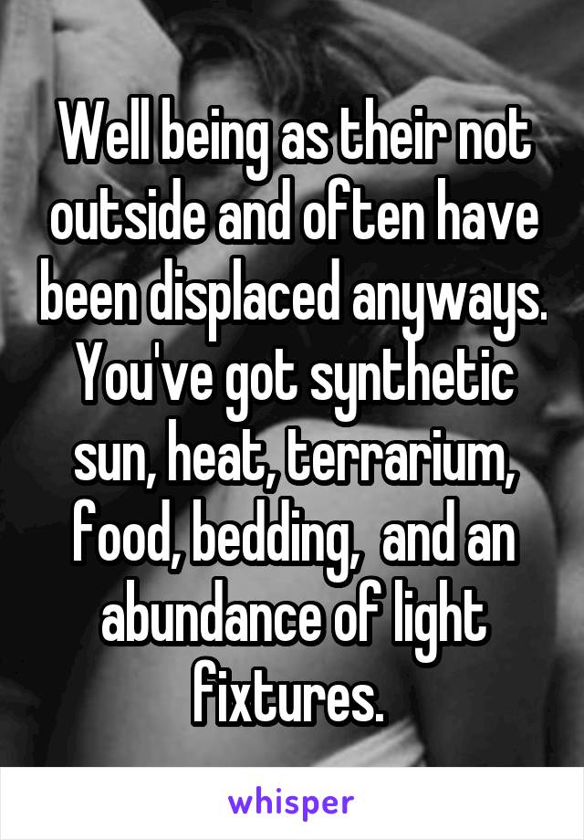 Well being as their not outside and often have been displaced anyways. You've got synthetic sun, heat, terrarium, food, bedding,  and an abundance of light fixtures. 