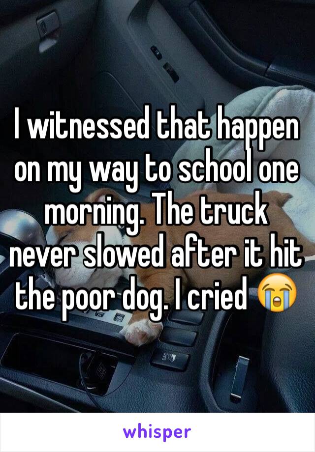 I witnessed that happen on my way to school one morning. The truck never slowed after it hit the poor dog. I cried 😭