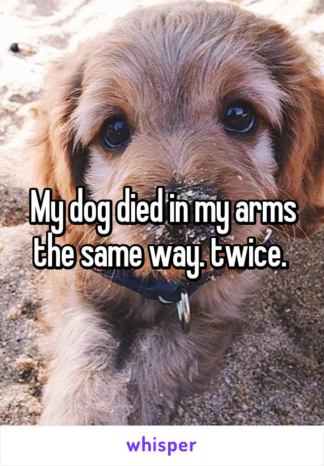 My dog died in my arms the same way. twice. 